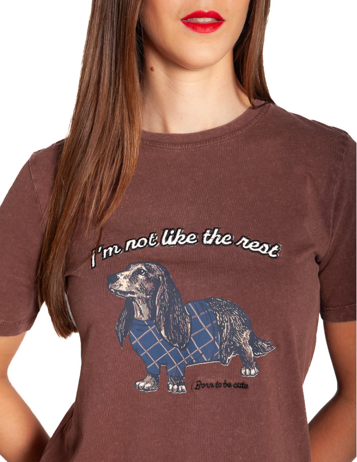 Camiseta marrón perrito salchicha Solko Byoung Sommes Demode Zaragoza