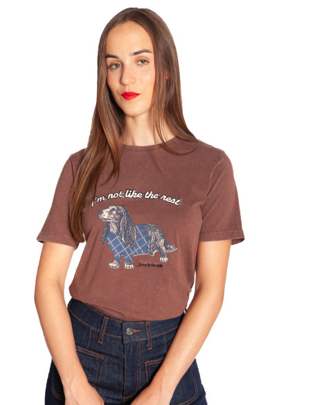 Camiseta marrón perrito salchicha Solko Byoung Sommes Demode Zaragoza