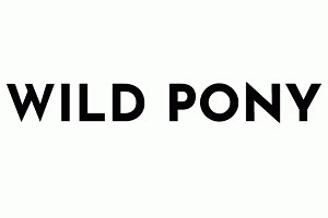 Wild Pony